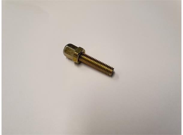 Justeringsskrue M6x26mm Gold finish, til bremsehåndtak 